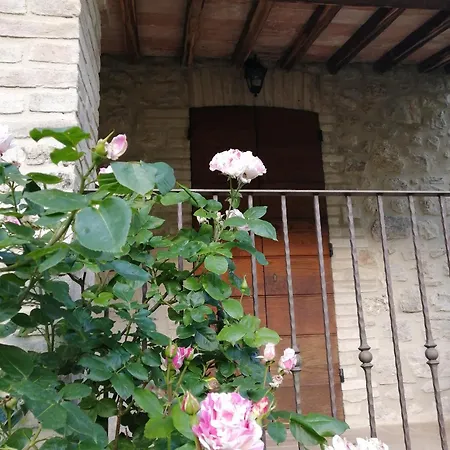 Podere Collicello, Finestra Sull'umbria!