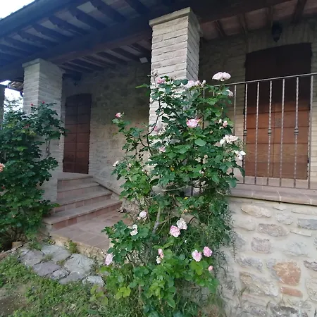 Podere Collicello, Finestra Sull'umbria!