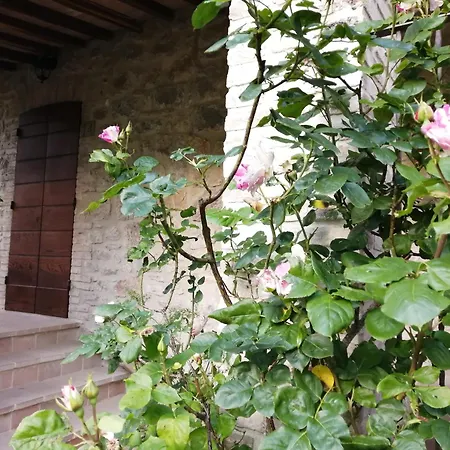 Podere Collicello, Finestra Sull'umbria! * Colognola